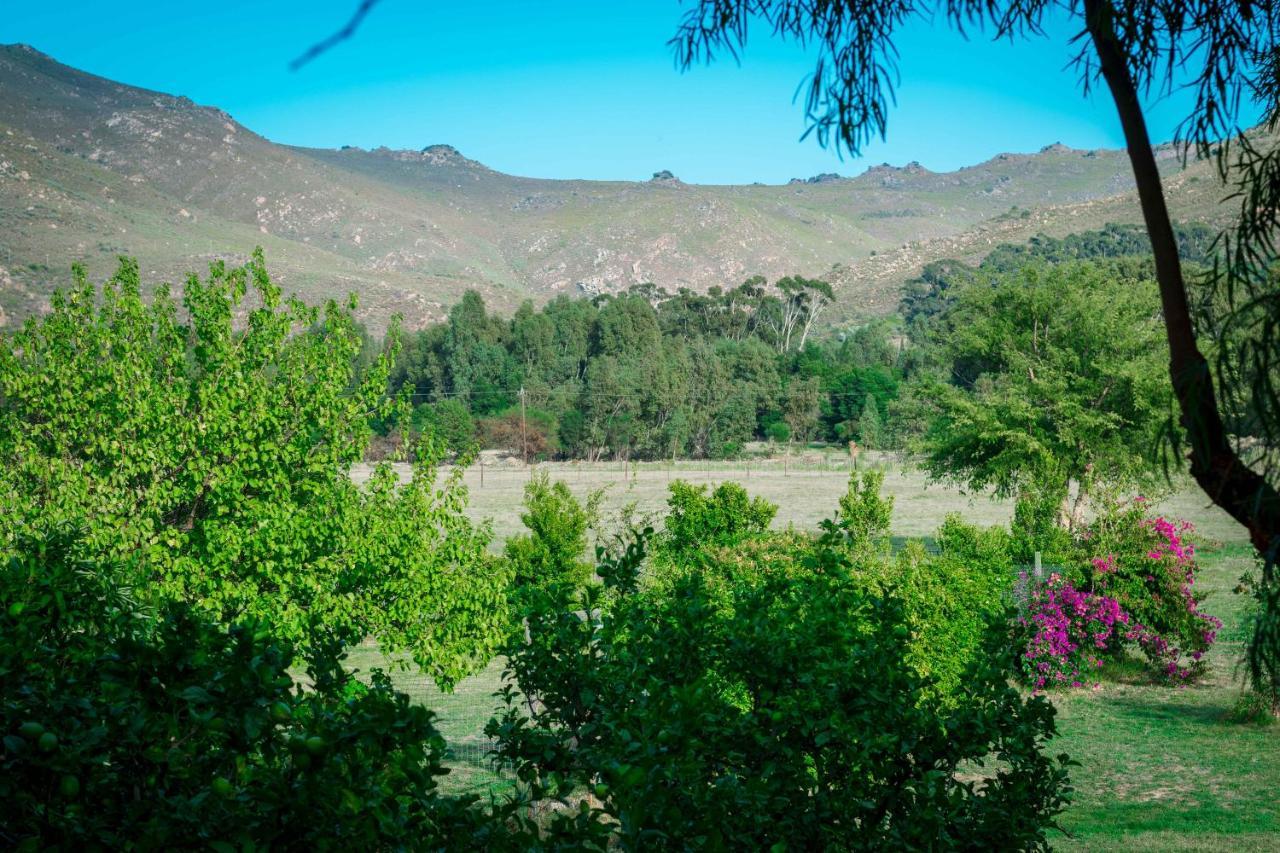 Le Reve Boutique Hotel Tulbagh Exterior foto
